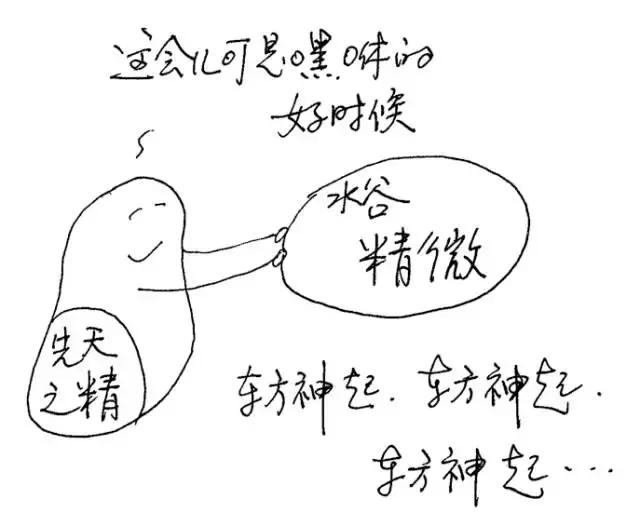 十二经络运行时间表，读懂身体十二经络（各种经络运行时间表）