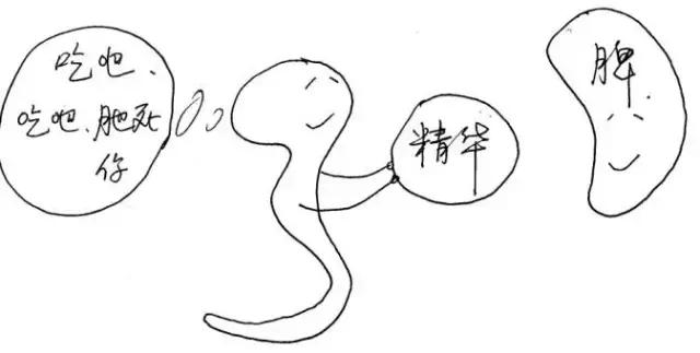 十二经络运行时间表，读懂身体十二经络（各种经络运行时间表）