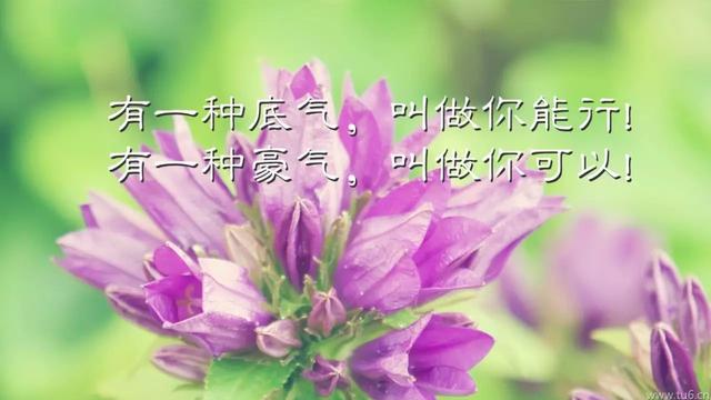 早安心语正能量180317：风雨中经历成长，挫折中收获坚强