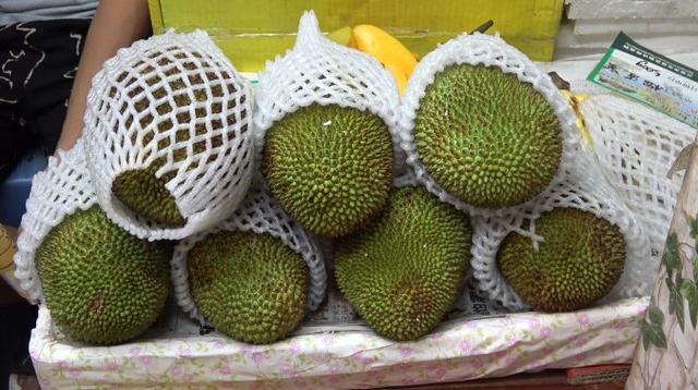 菠萝蜜跟榴莲一个口感吗，这种只有菠萝蜜十分之一的