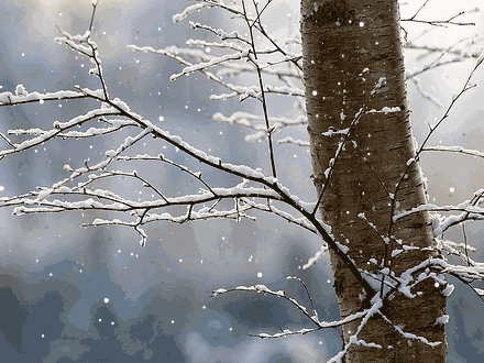 有关大雪节气的图片动态图片