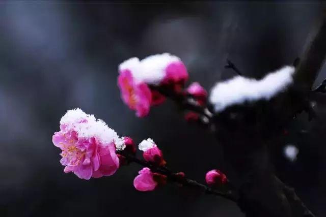 大雪节气：致我最在乎的人