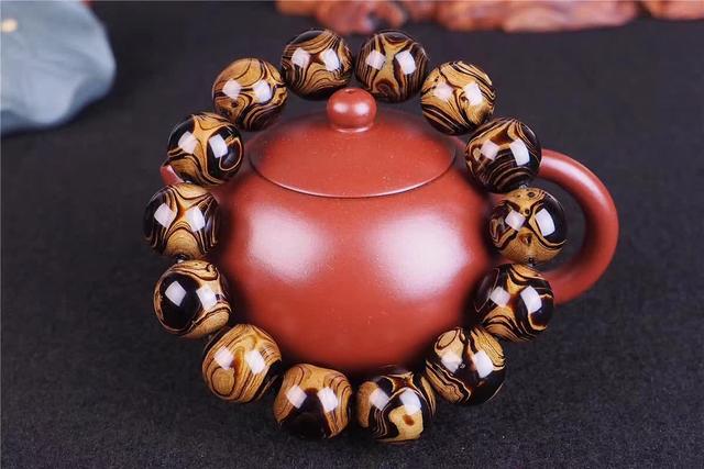 黑珊瑚稀缺吗，海柳为啥冠冕堂皇的叫珊瑚海柳