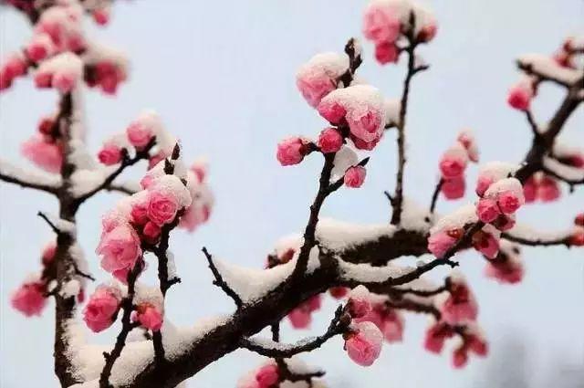 大雪节气：致我最在乎的人