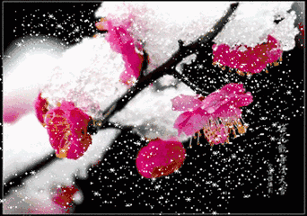 大雪节气：致我最在乎的人