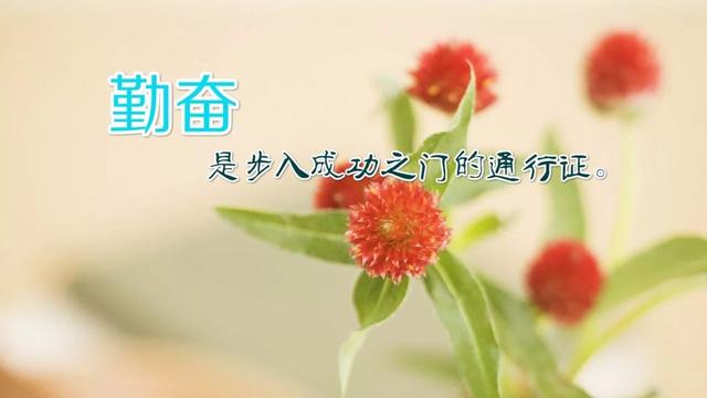 早安心语正能量171208：只要不倒下，挫败又何妨