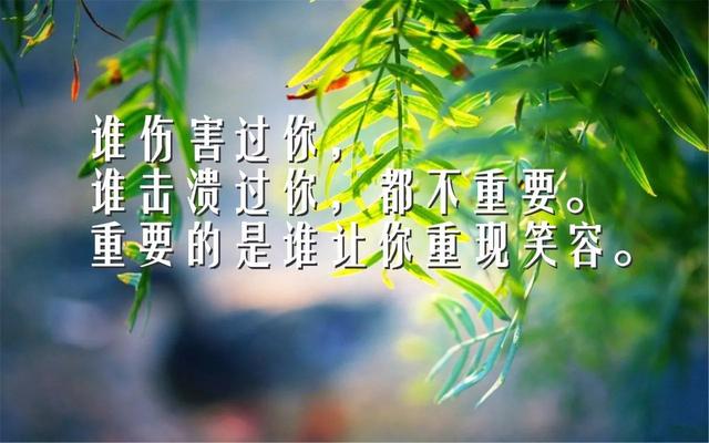 早安心语正能量171228：转身擦干眼泪，勇往直前