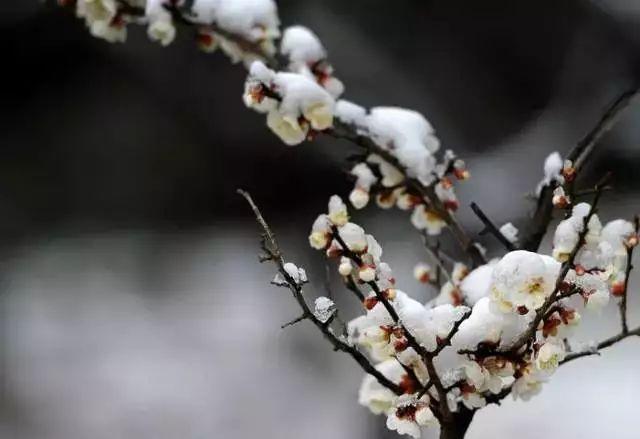 大雪节气：致我最在乎的人