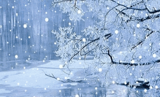 有关大雪节气的图片动态图片