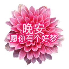 晚安的动态图片表情