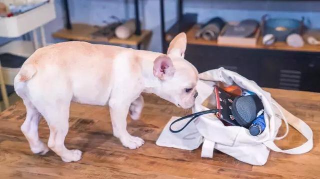 平价又高级的帆布包，20款高颜值帆布包