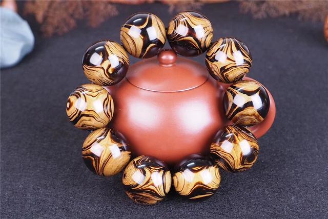 黑珊瑚稀缺吗，海柳为啥冠冕堂皇的叫珊瑚海柳