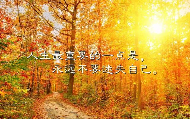 早安心语正能量180131：风吹雨打知生活，苦尽甘来懂人生