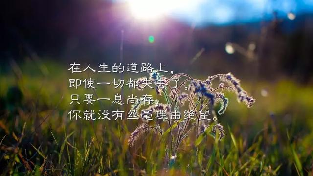 早安心语正能量180310：要做，就做生活的强者