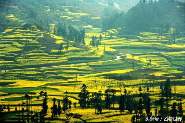 云南曲靖旅游必去的景点，曲靖必去的旅游景点排名（云食 ， 舌尖上的曲靖）