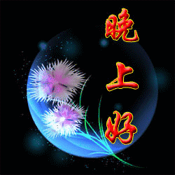 晚安短语送给朋友，晚安的文字