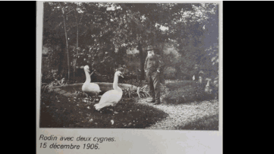 罗丹，罗丹人生经历