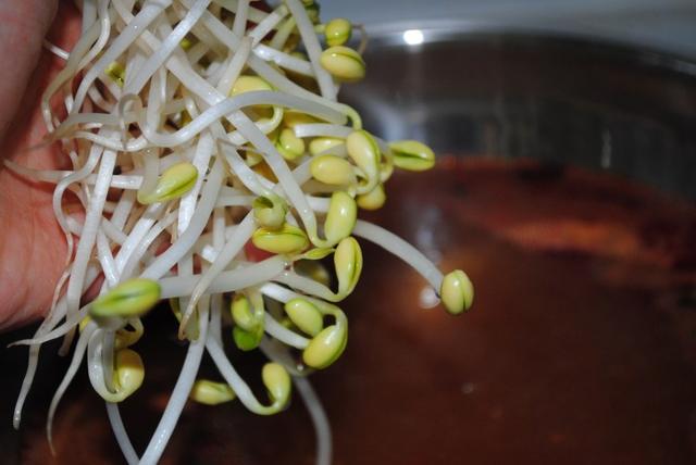 贵州脆皮酸汤猪脚正宗做法，一道菜成就一个人之-酸汤脆皮猪脚