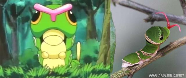 真正的皮卡丘是什么样子，皮卡丘的原型与本尊