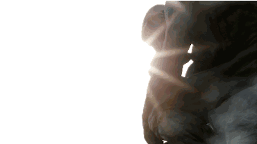 罗丹，罗丹人生经历