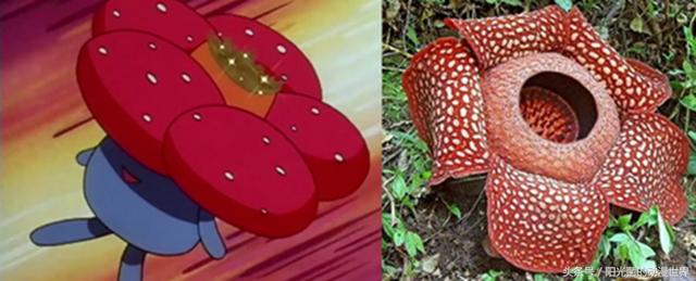 真正的皮卡丘是什么样子，皮卡丘的原型与本尊