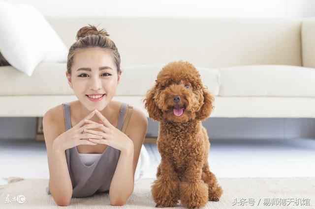 戊戌狗年运程，1980年生人