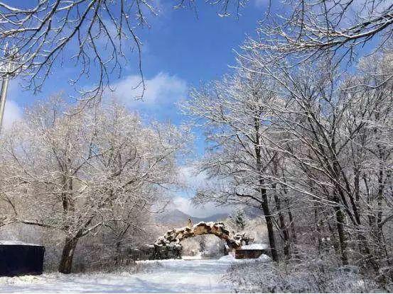 吉林市十大滑雪场，江南美女打卡吉林四大滑雪场
