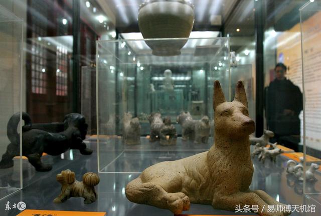 戊戌狗年运程，1980年生人