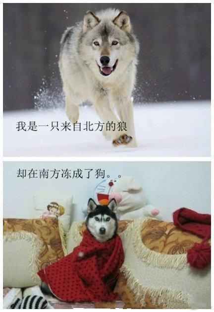 家庭采暖小知识大全，1分钟教你如何选择家庭采暖