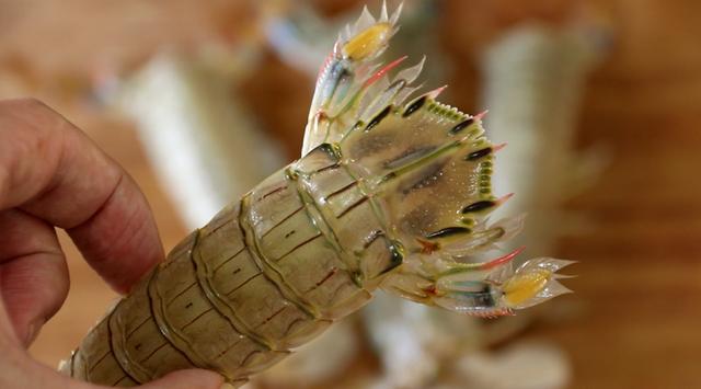 如何制作皮皮虾最好吃，老渔民：都不对