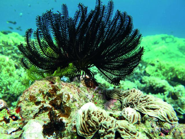 西沙群岛旅游区介绍，西沙群岛，此生必去