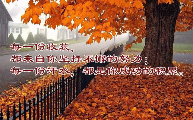 早安心语正能量180122：多留一点汗，少留一滴泪