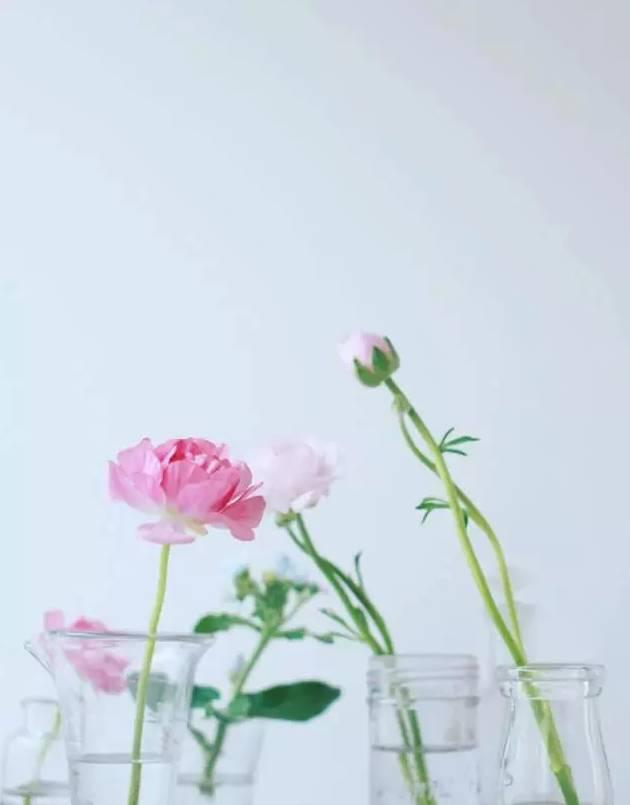 晚安句子171214：我那么好，你却不知道