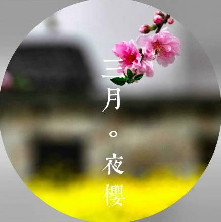 早安美文171214：陪伴你十二个月