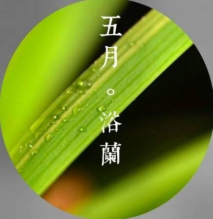 早安美文171214：陪伴你十二个月