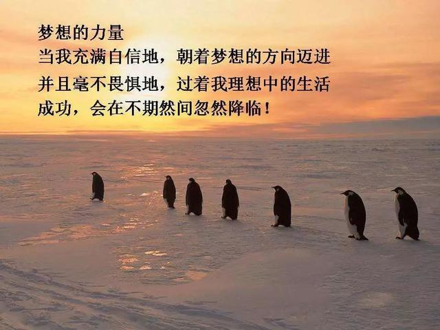 晚安心语正能量171214：坚持下来就是神话，半途而废就是笑话