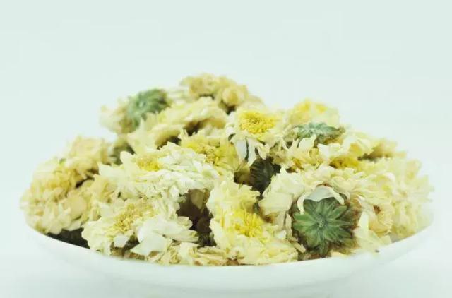 安徽皇菊还是江西皇菊，四大名菊你都喝全了吗