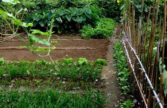 适合穷人开的小店，这么多白手起家创业点子（适合穷人白手起家的十个创业点子）