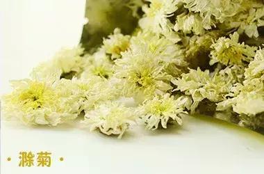 安徽皇菊还是江西皇菊，四大名菊你都喝全了吗