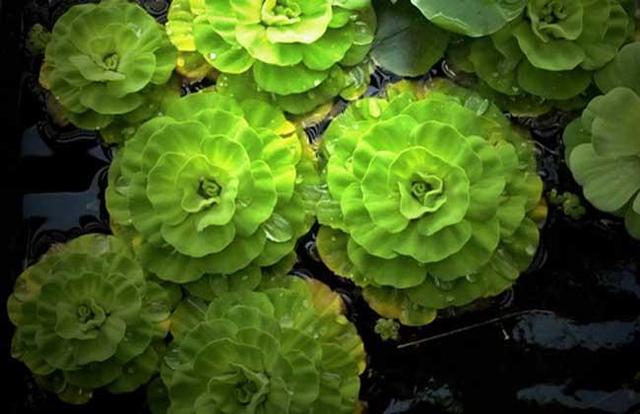 适合穷人开的小店，这么多白手起家创业点子（适合穷人白手起家的十个创业点子）