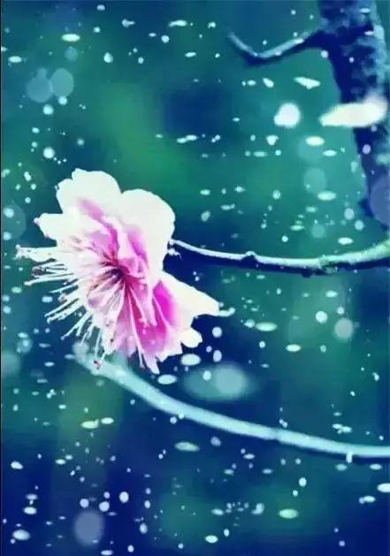 早安问候171217：天冷，多变的天气，不变的问候