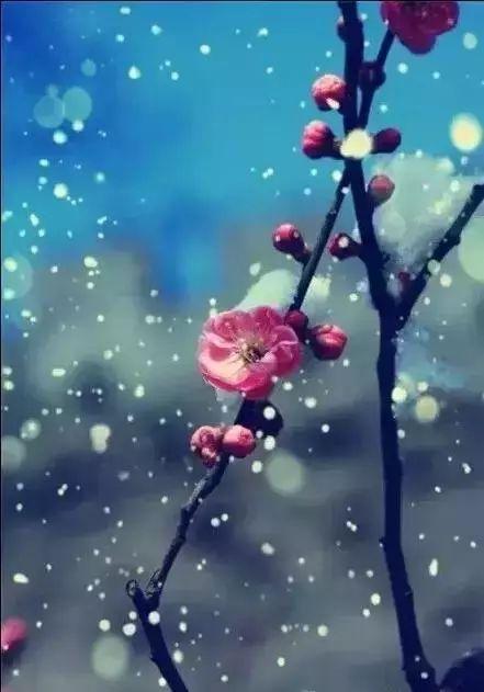 早安问候171217：天冷，多变的天气，不变的问候