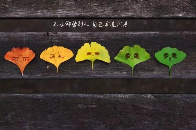 早安心语正能量171219：你必须精神饱满，才经得住世事刁难