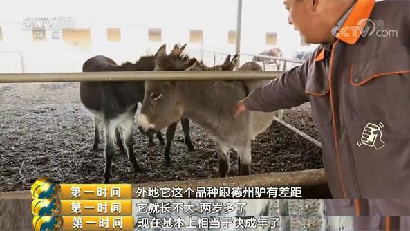 区别真假阿胶，你可能吃了假阿胶