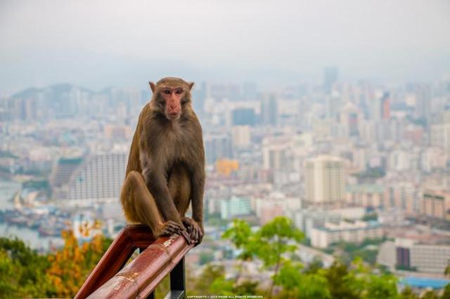 三亚5晚攻略自由行，海南旅游六天五晚旅游线路方案