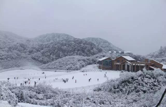 重庆市区旅游必去景点，重庆市区值得去的十大景点（市区必去7大景点盘点）