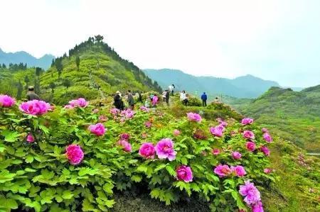 重庆市区旅游必去景点，重庆市区值得去的十大景点（市区必去7大景点盘点）