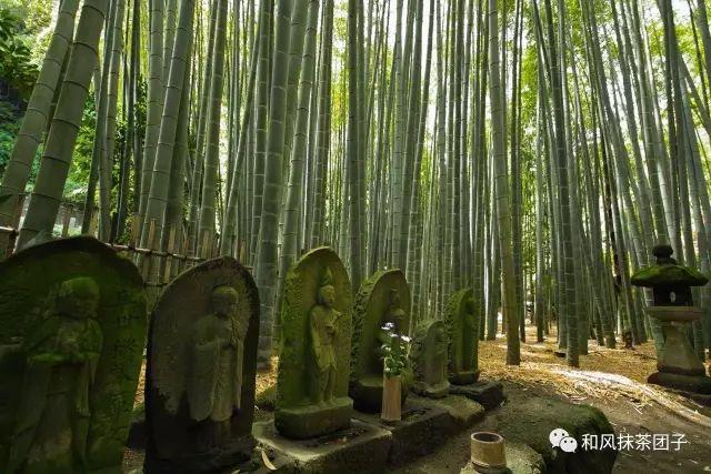 镰仓在日本哪里，日本旅游不能错过的十个历史小镇（镰仓——你不可错过的游玩景点）