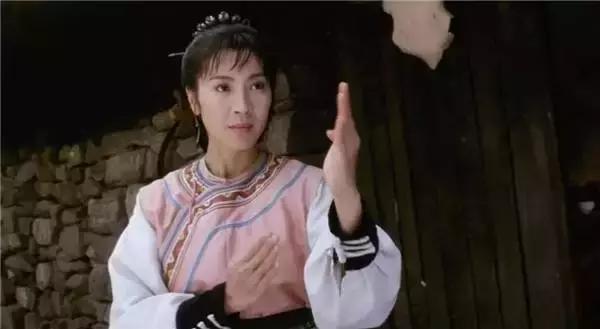 袁和平导演的电影，袁和平拍过什么电影（袁和平执导的九部电影）