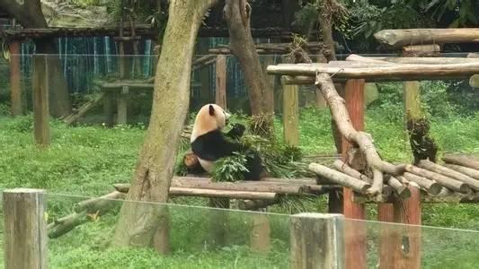 重庆主城超适合亲子游的好去处，周末重庆主城亲子游玩地点推荐